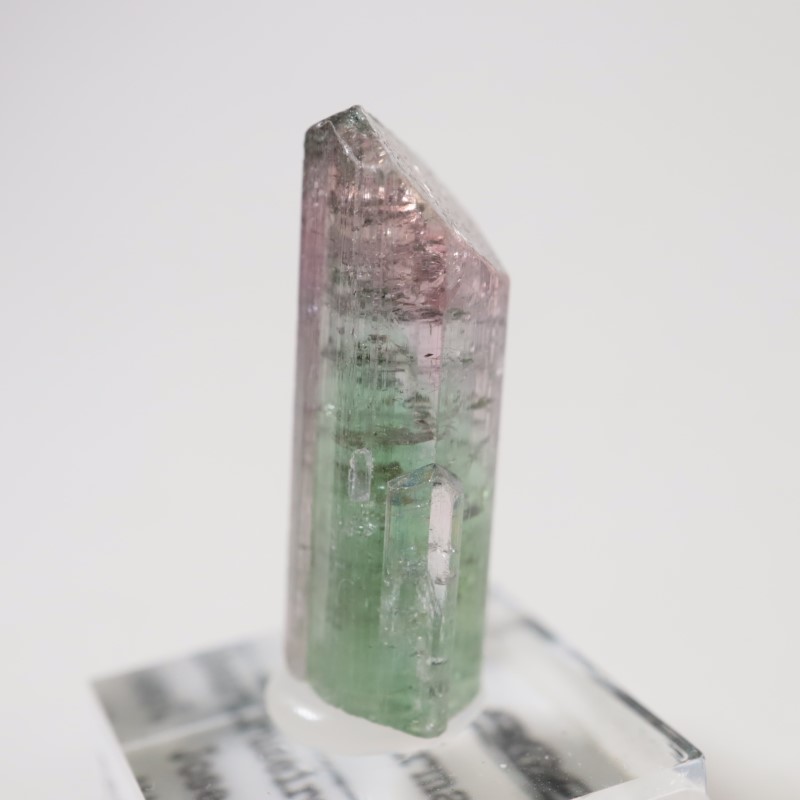 �֥饸�뻺 �ȥ�ޥ��