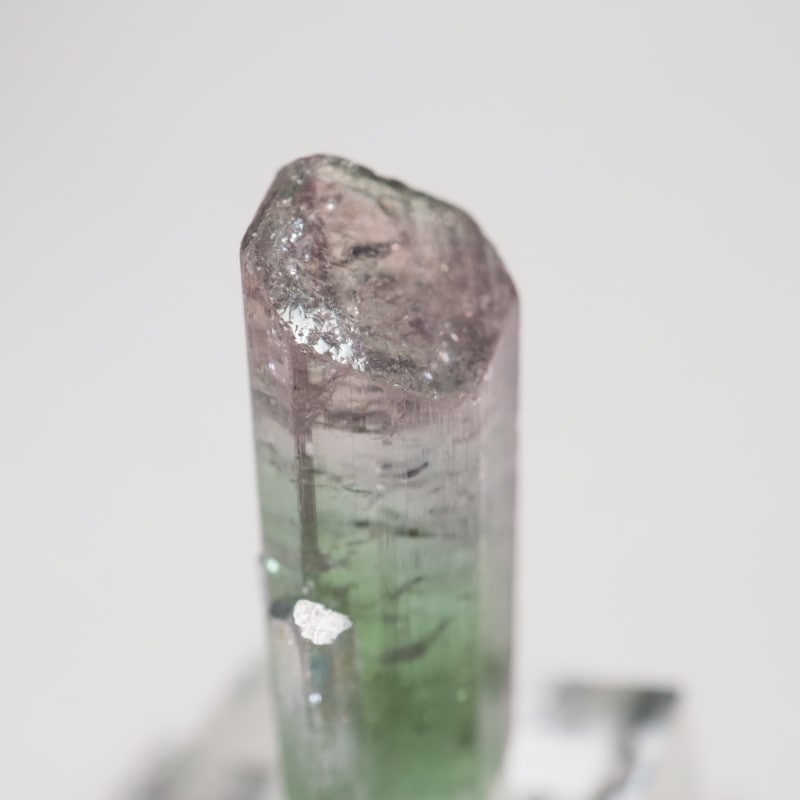 �֥饸�뻺 �ȥ�ޥ��