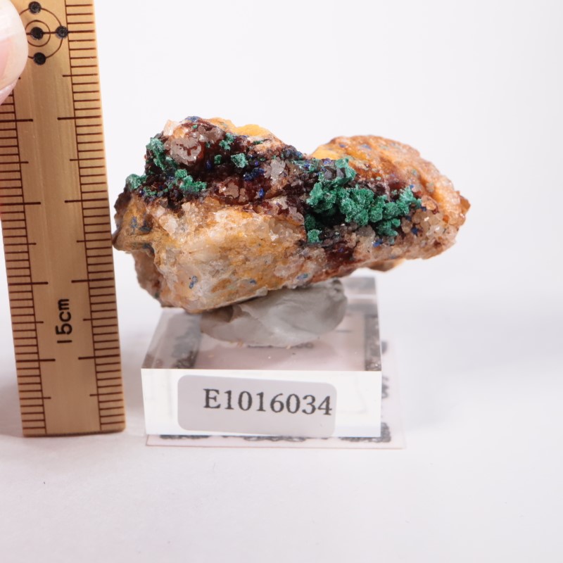 ����å������ޥ饫���ȡ������饤��