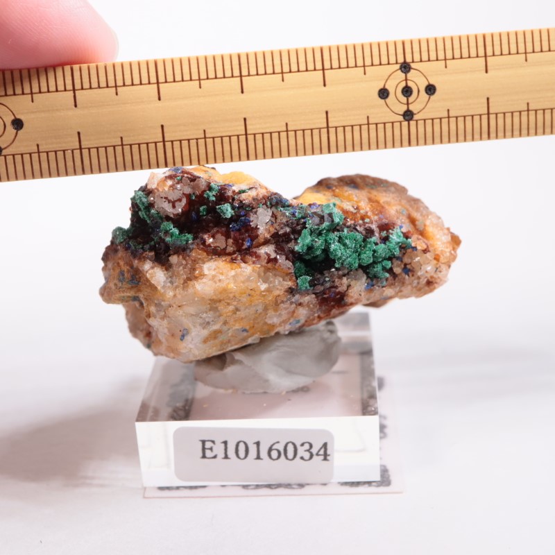 ����å������ޥ饫���ȡ������饤��