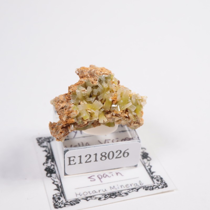 ���ڥ��� �ѥ������ե�����