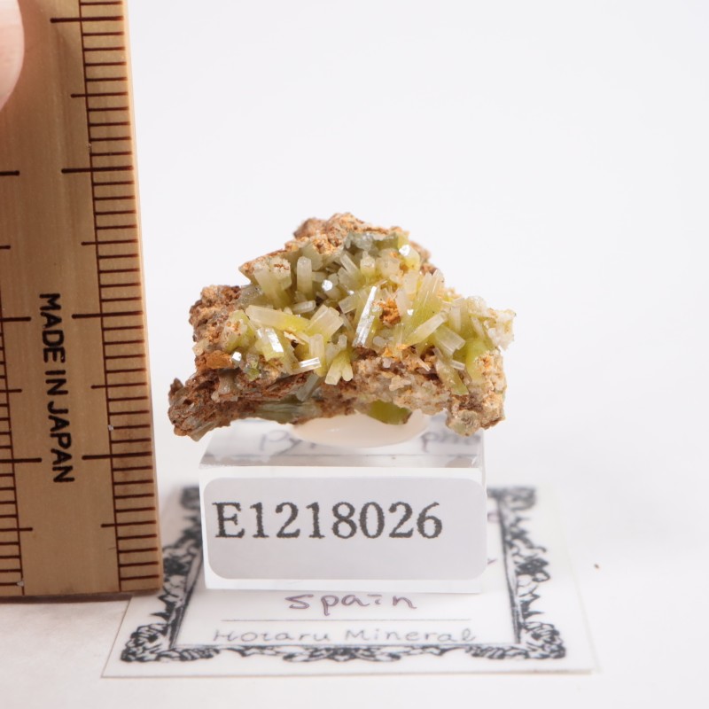 ���ڥ��� �ѥ������ե�����