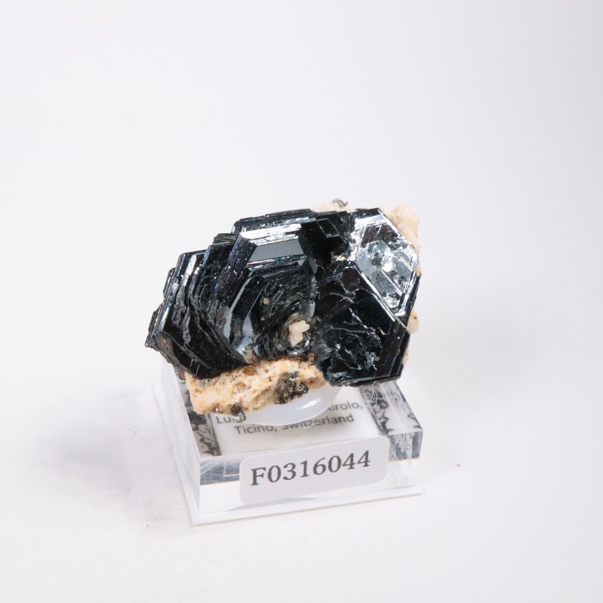 スイス産 ヘマタイトローズ | 鉱物標本,ハ行,ヘマタイト/赤鉄鉱
