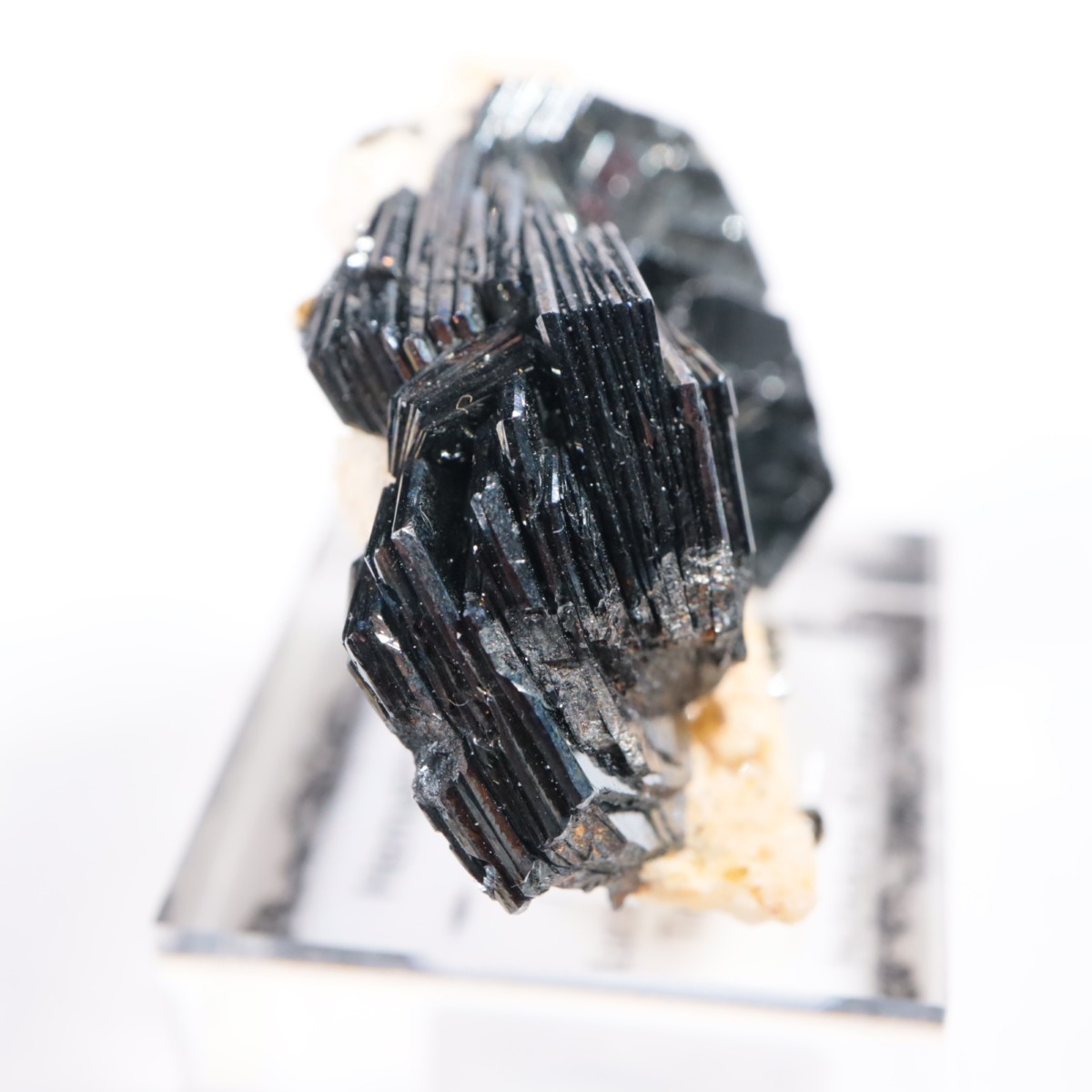 大型 ヘマタイト(アイアンローズ) スイス産 [鉱物標本] 大型 ヘマタイト(アイアンローズ) スイス産 [鉱物標本]