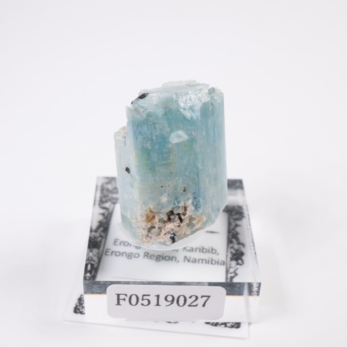 �����󥴹ۻ��� �������ޥ��