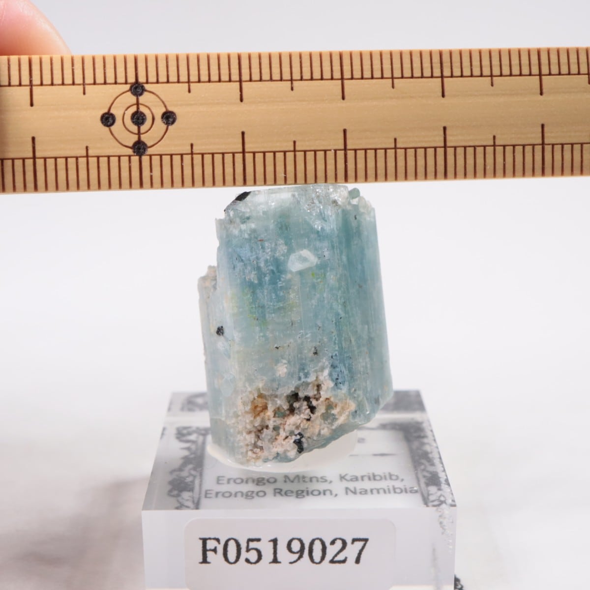 �����󥴹ۻ��� �������ޥ��