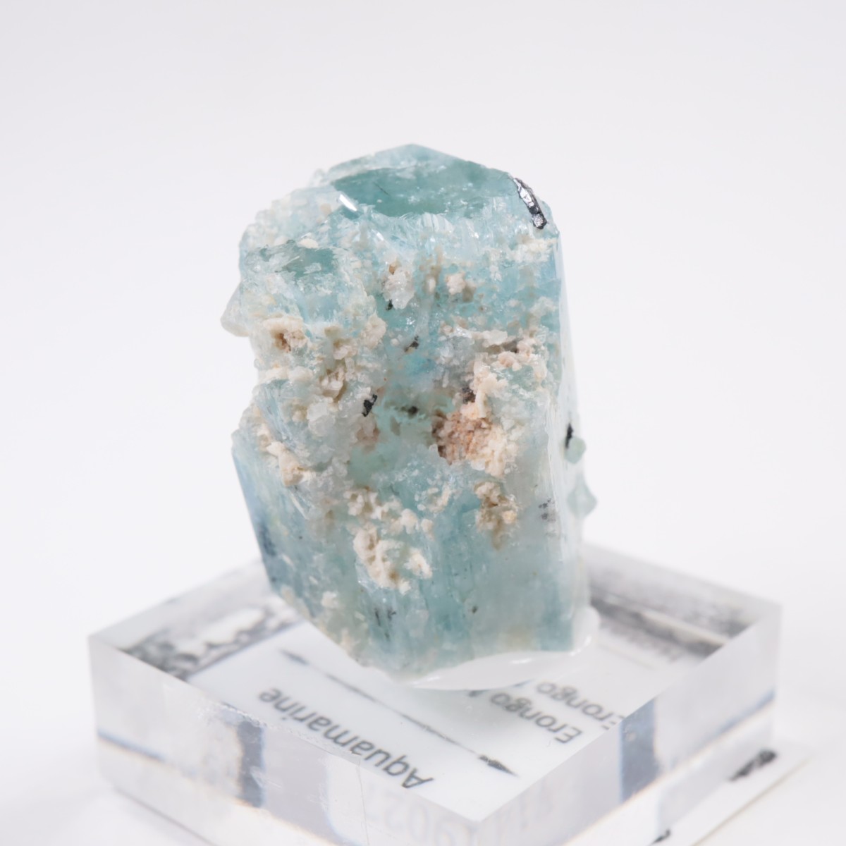 �����󥴹ۻ��� �������ޥ��