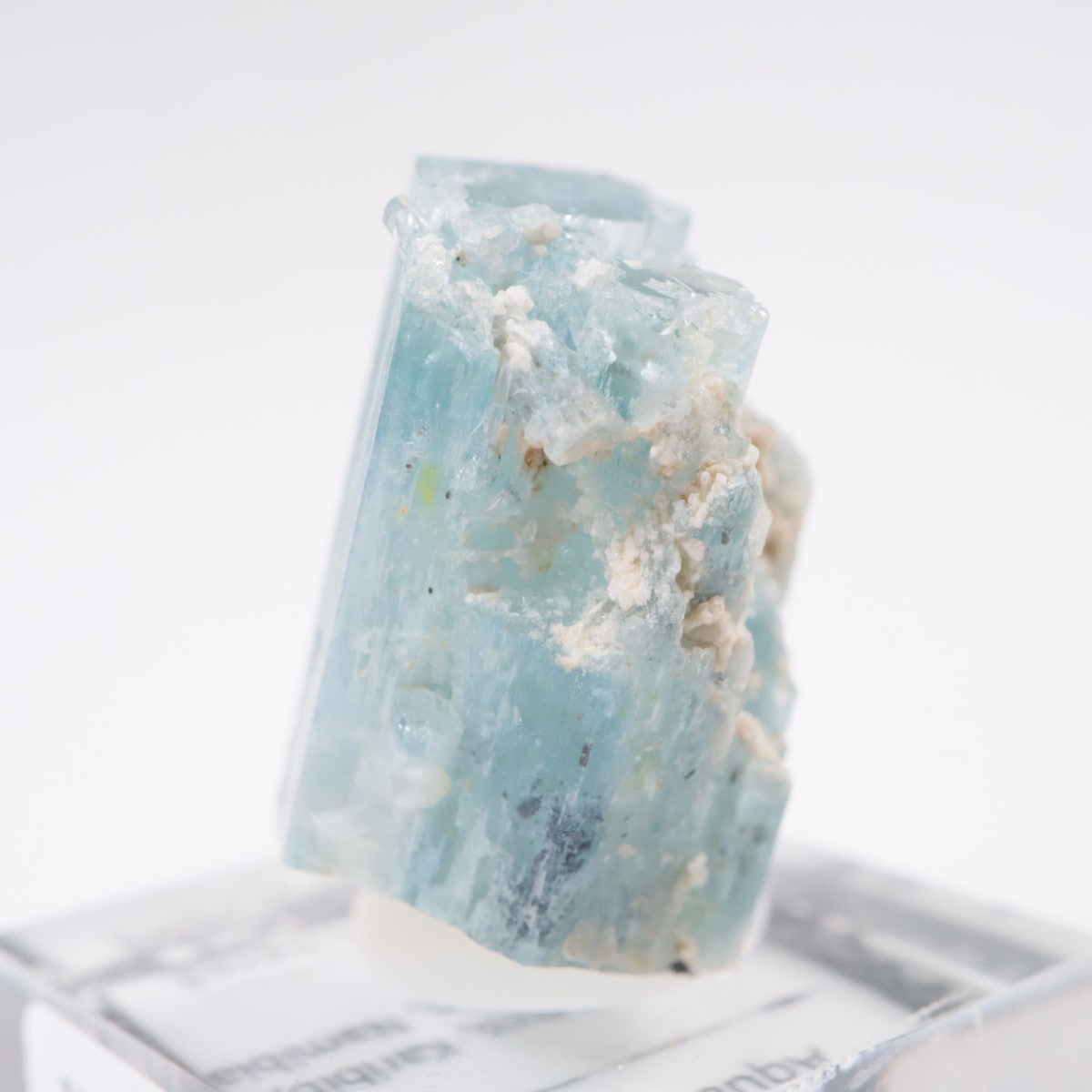 �����󥴹ۻ��� �������ޥ��