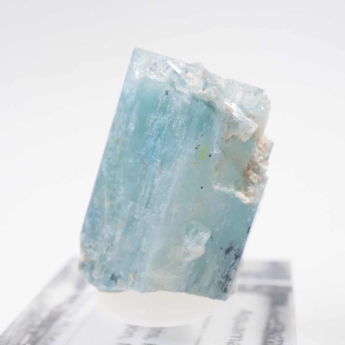 �����󥴹ۻ��� �������ޥ��