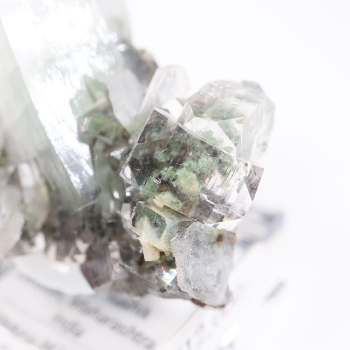 ����ɻ� ���ݥե��饤��