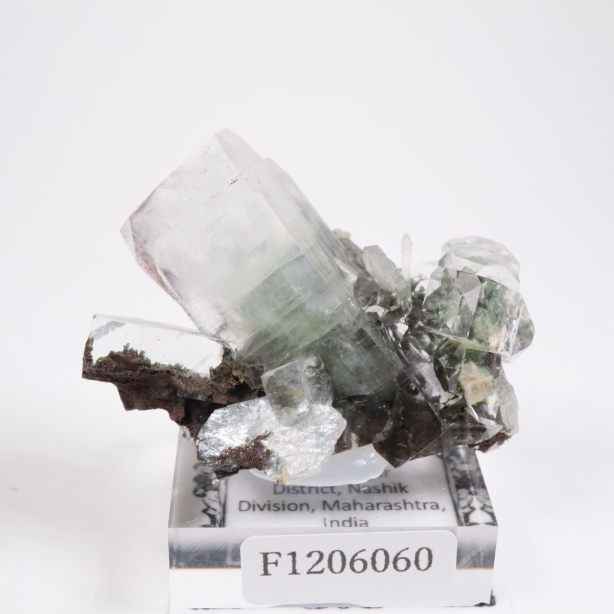 ����ɻ� ���ݥե��饤��