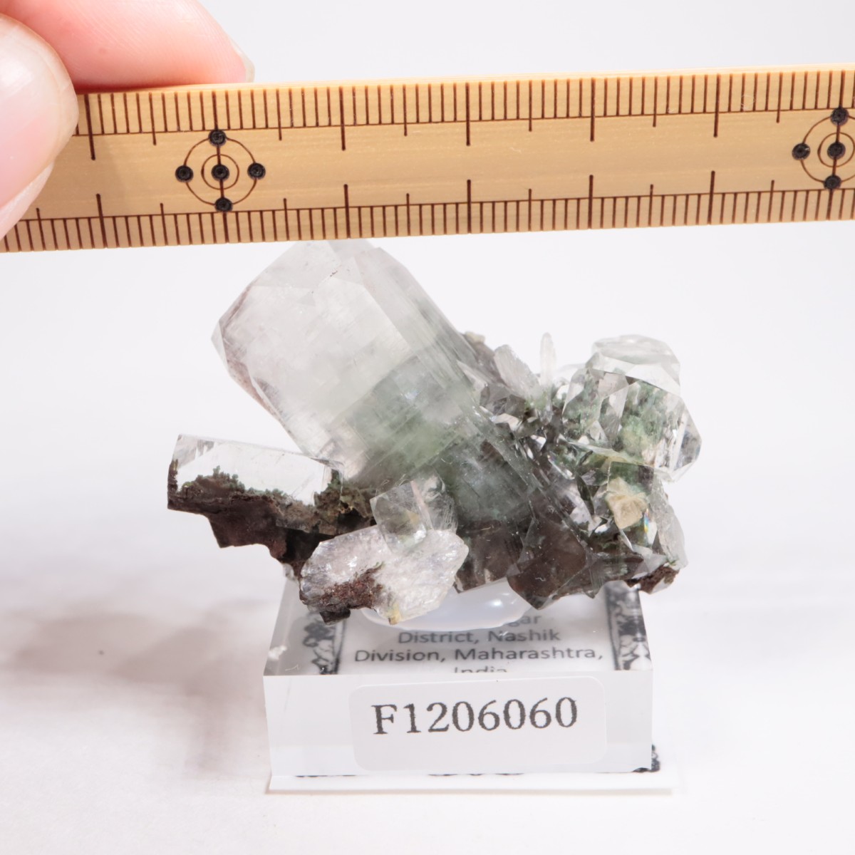 ����ɻ� ���ݥե��饤��