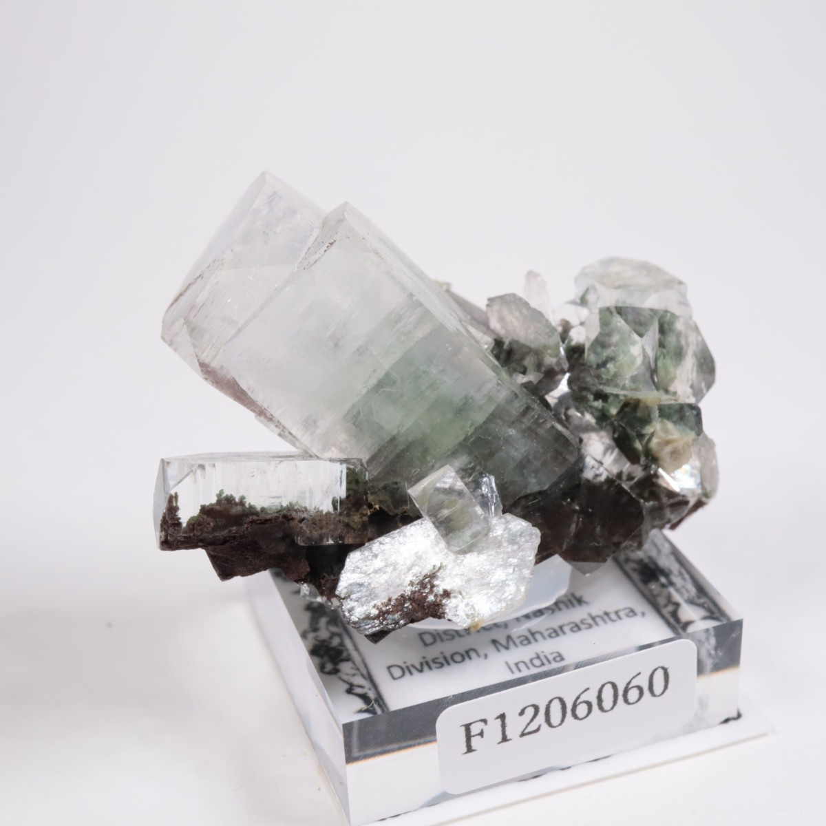 ����ɻ� ���ݥե��饤��