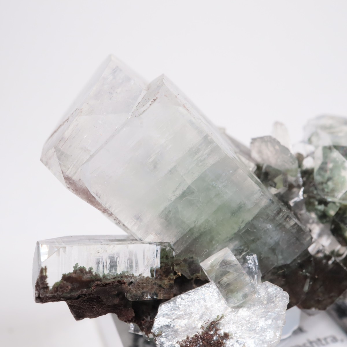 ����ɻ� ���ݥե��饤��