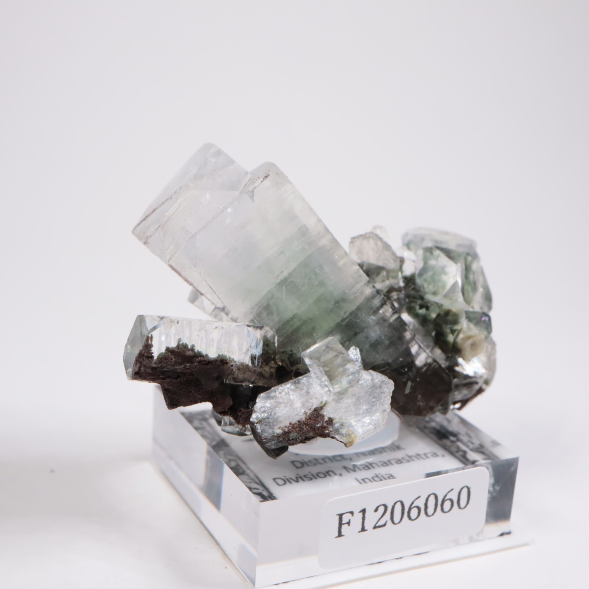 ����ɻ� ���ݥե��饤��