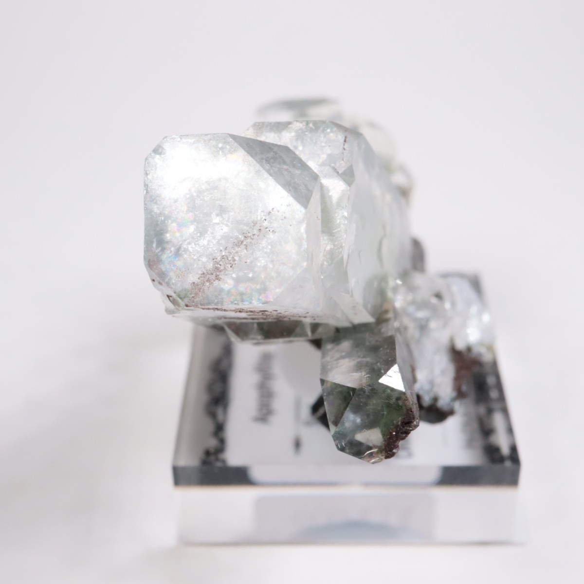 ����ɻ� ���ݥե��饤��