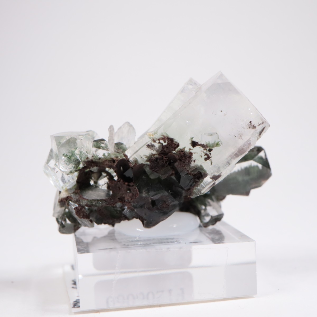 ����ɻ� ���ݥե��饤��