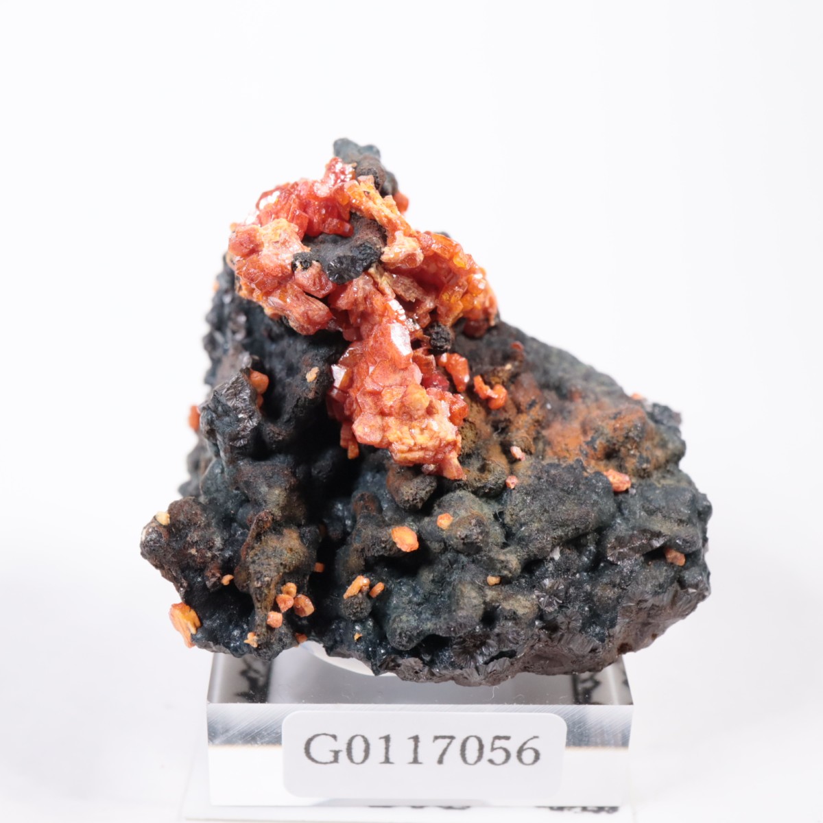 ����å��� �Хʥǥ��ʥ���