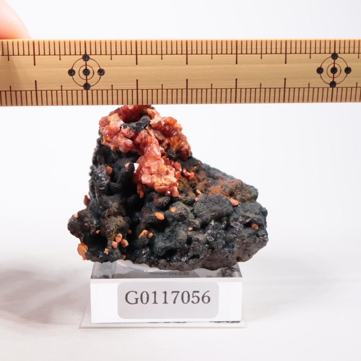 ����å��� �Хʥǥ��ʥ���