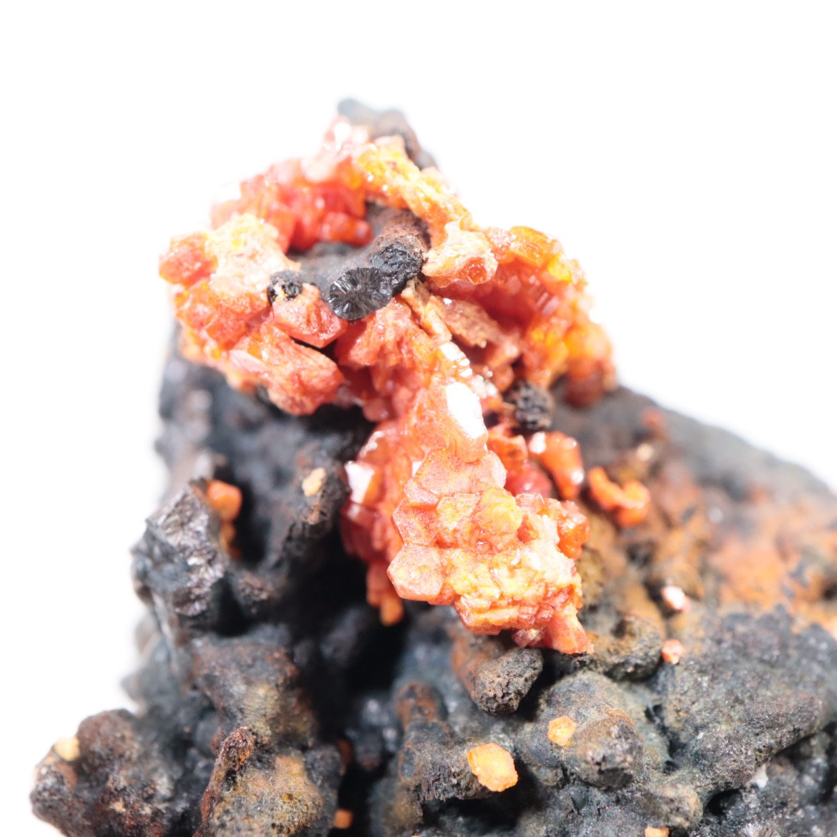 ����å��� �Хʥǥ��ʥ���