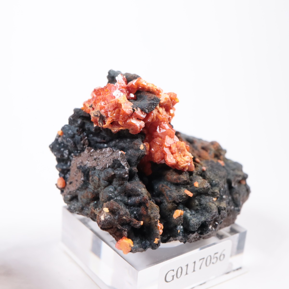 ����å��� �Хʥǥ��ʥ���