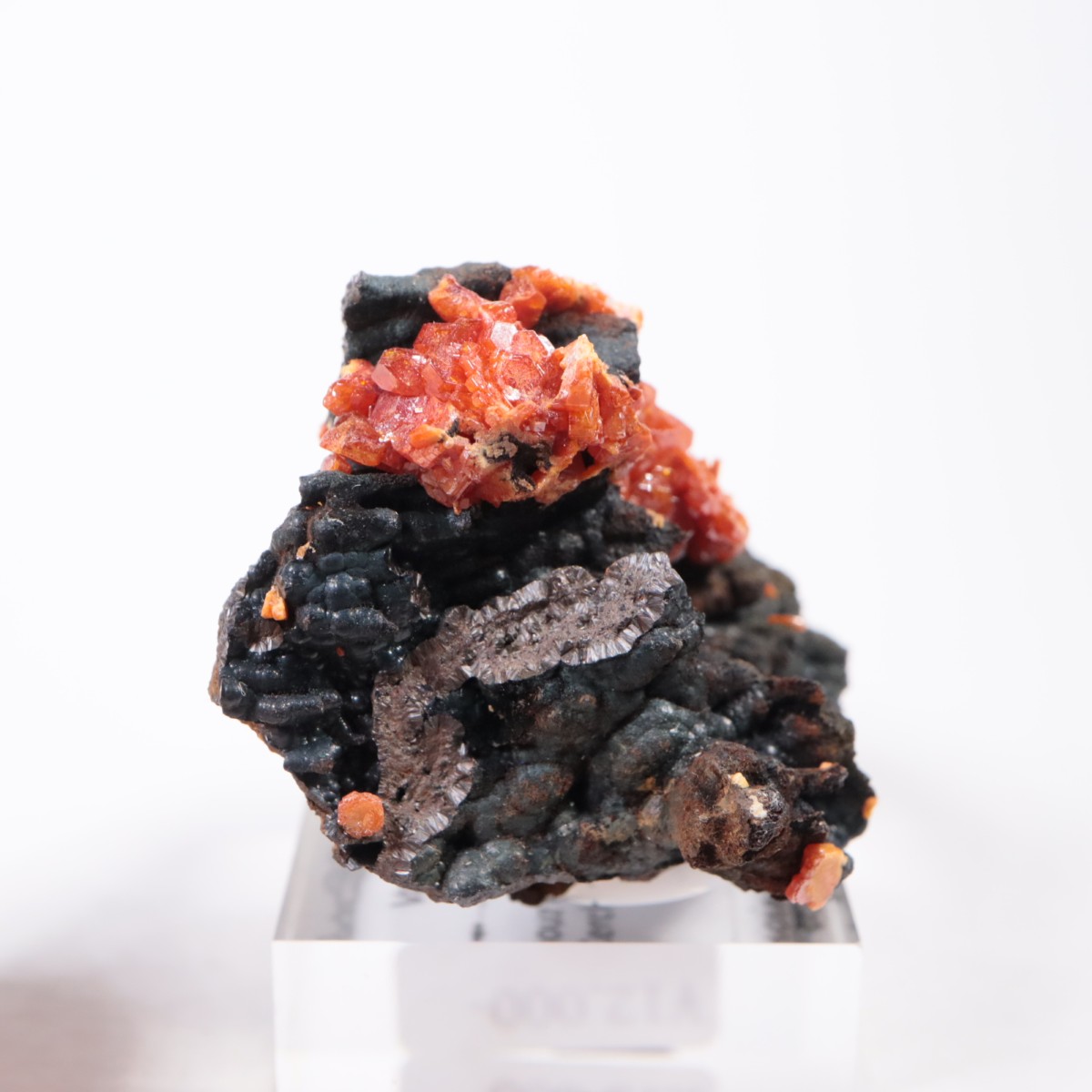 ����å��� �Хʥǥ��ʥ���