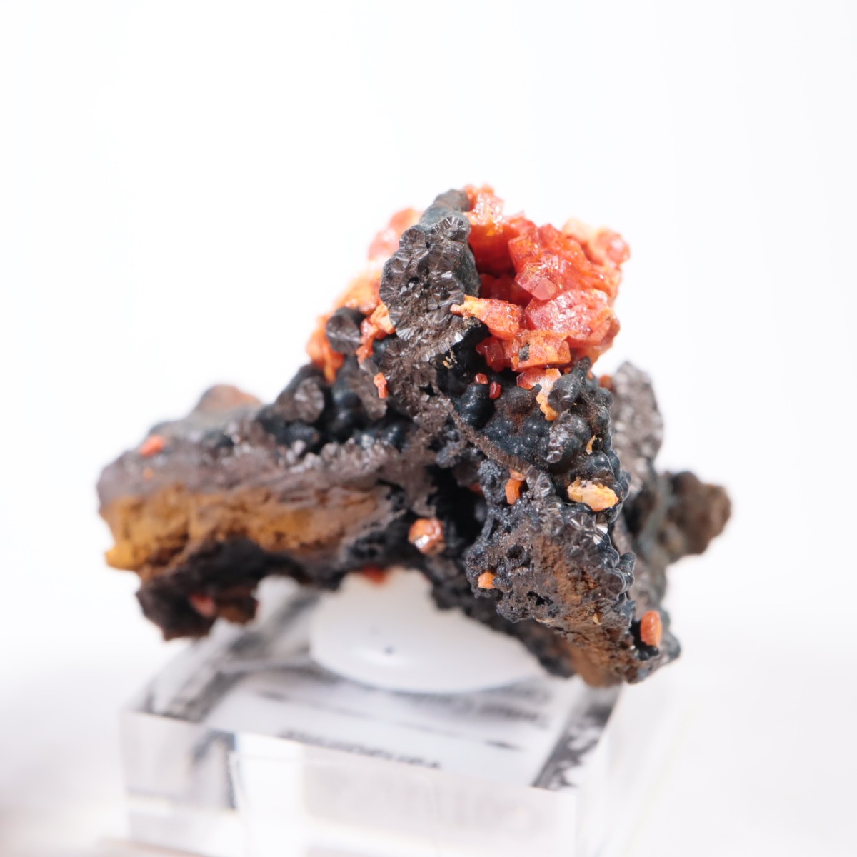 ����å��� �Хʥǥ��ʥ���