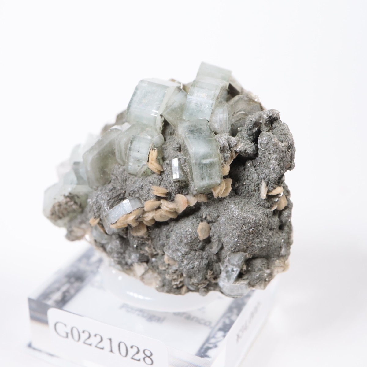 �ѥʥ�������ۻ������ѥ����ȡ�������ɱ���