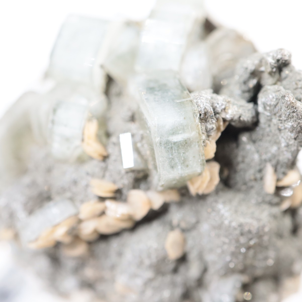 �ѥʥ�������ۻ������ѥ����ȡ�������ɱ���