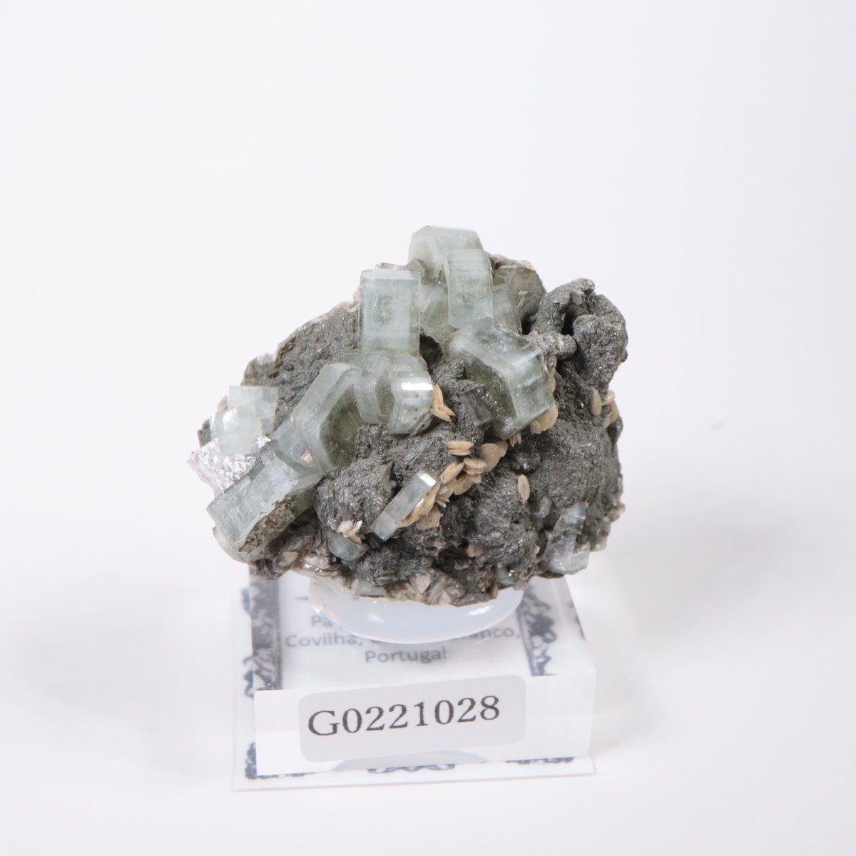 �ѥʥ�������ۻ������ѥ����ȡ�������ɱ���