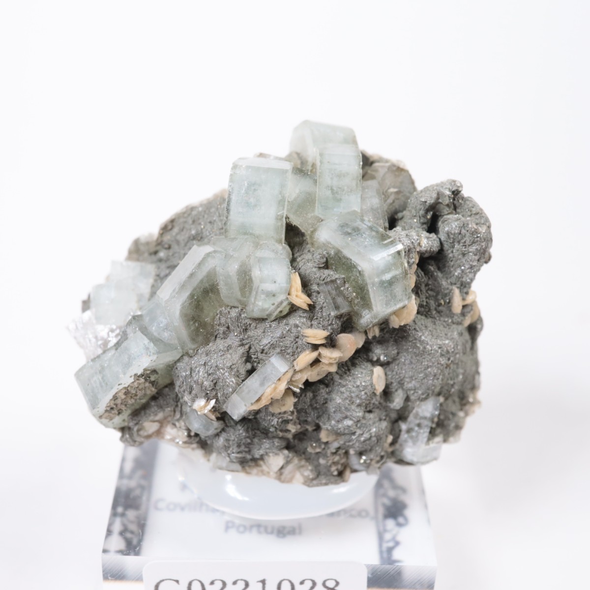 �ѥʥ�������ۻ������ѥ����ȡ�������ɱ���