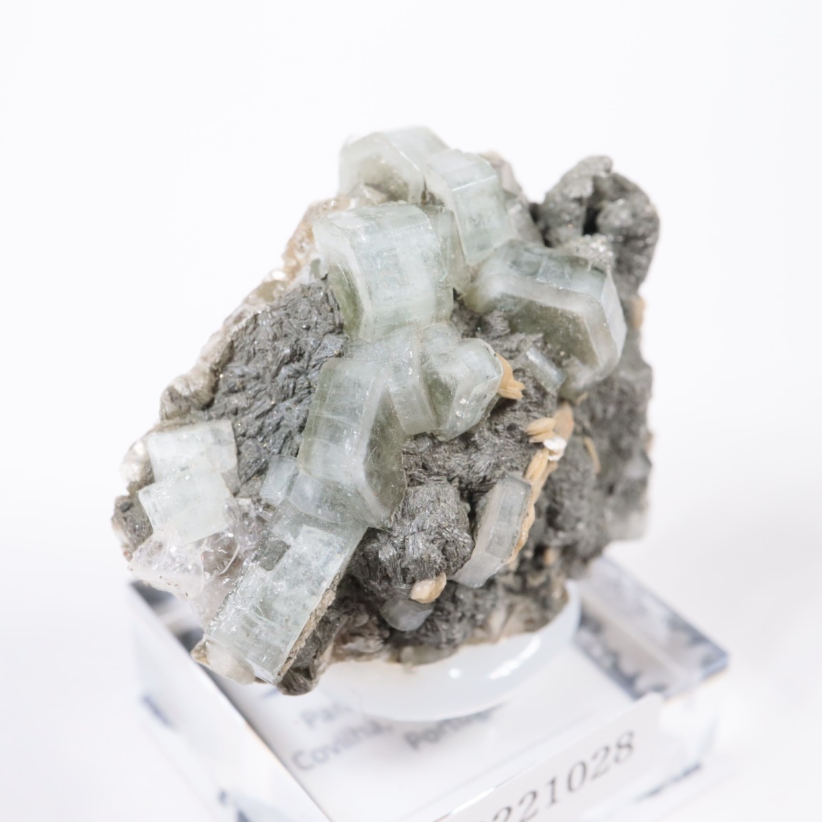 �ѥʥ�������ۻ������ѥ����ȡ�������ɱ���