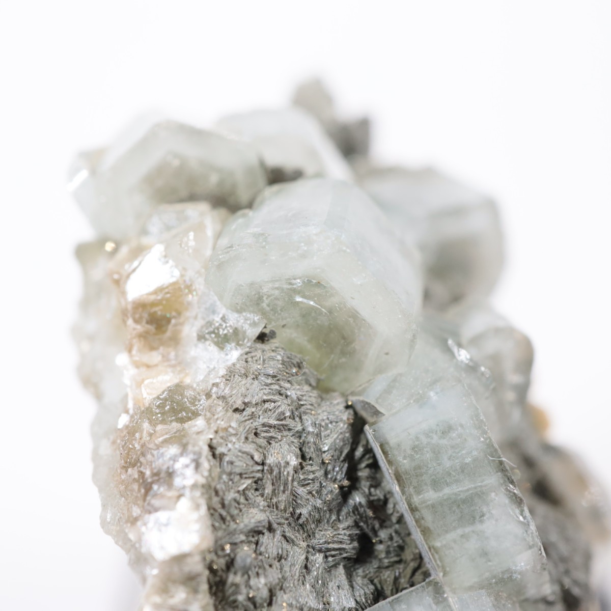 �ѥʥ�������ۻ������ѥ����ȡ�������ɱ���