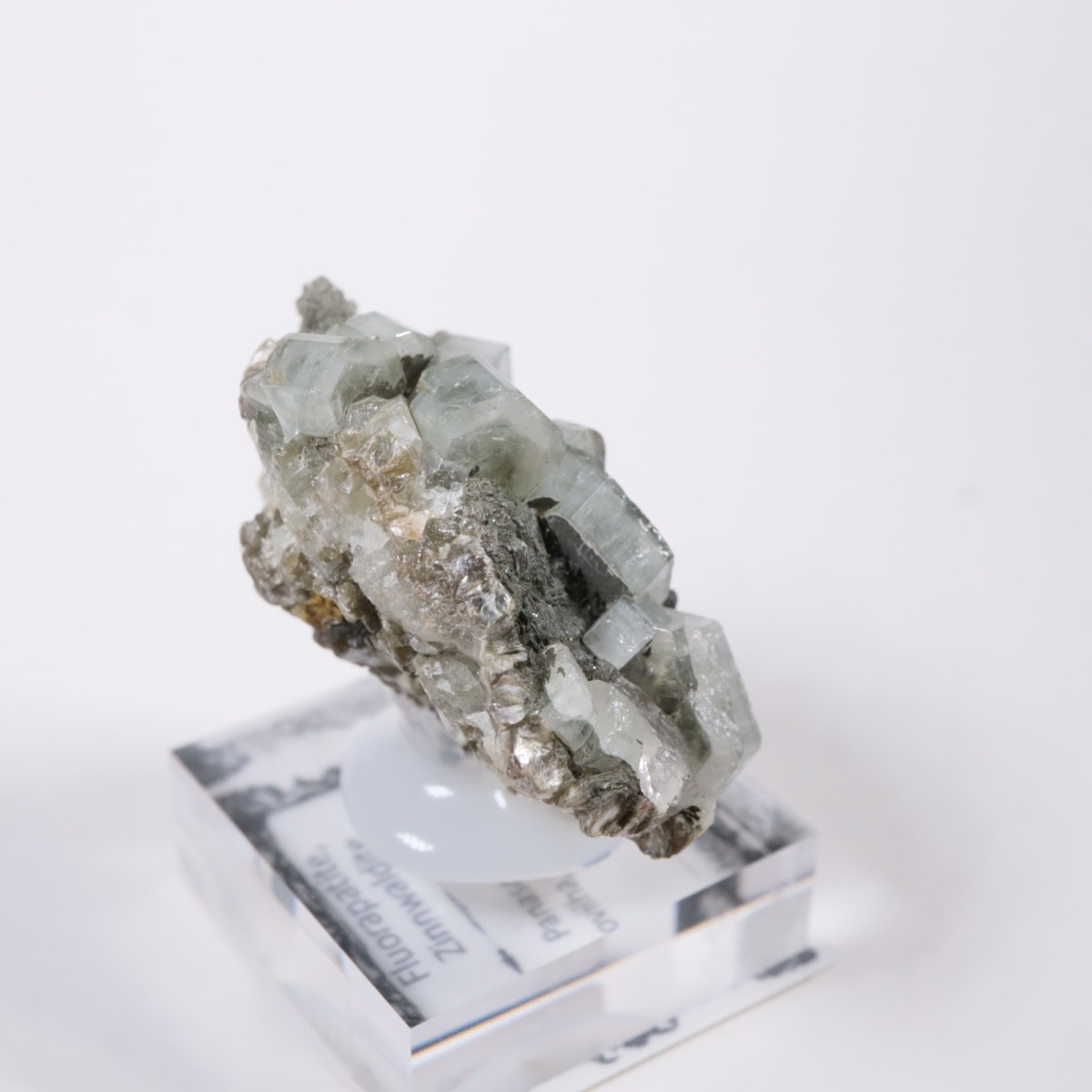 �ѥʥ�������ۻ������ѥ����ȡ�������ɱ���