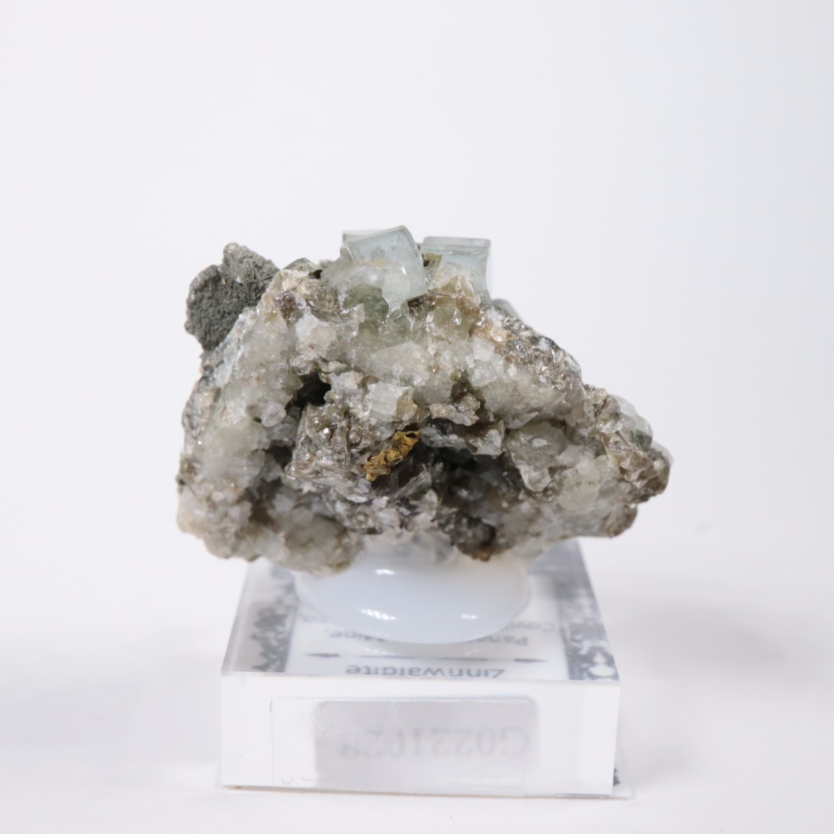 �ѥʥ�������ۻ������ѥ����ȡ�������ɱ���