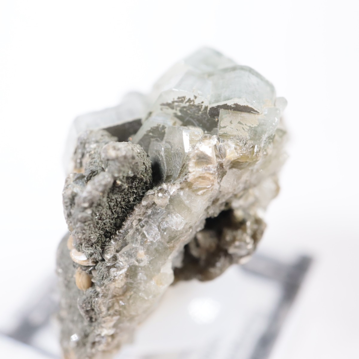 �ѥʥ�������ۻ������ѥ����ȡ�������ɱ���