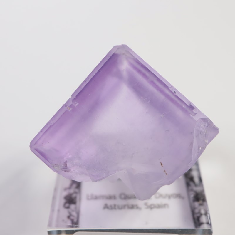 Llamas�����ե����饤��