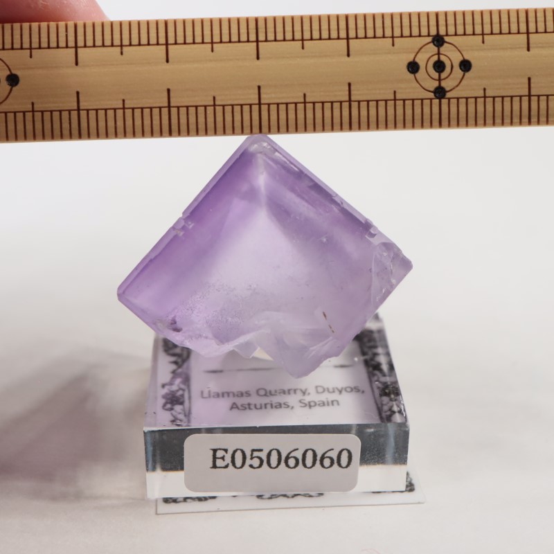 Llamas�����ե����饤��