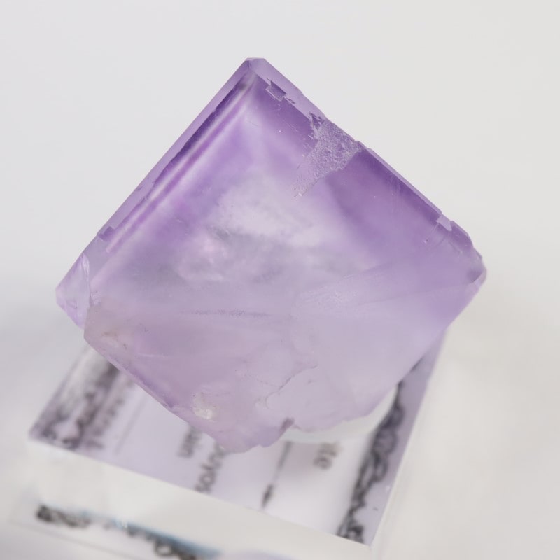 Llamas�����ե����饤��