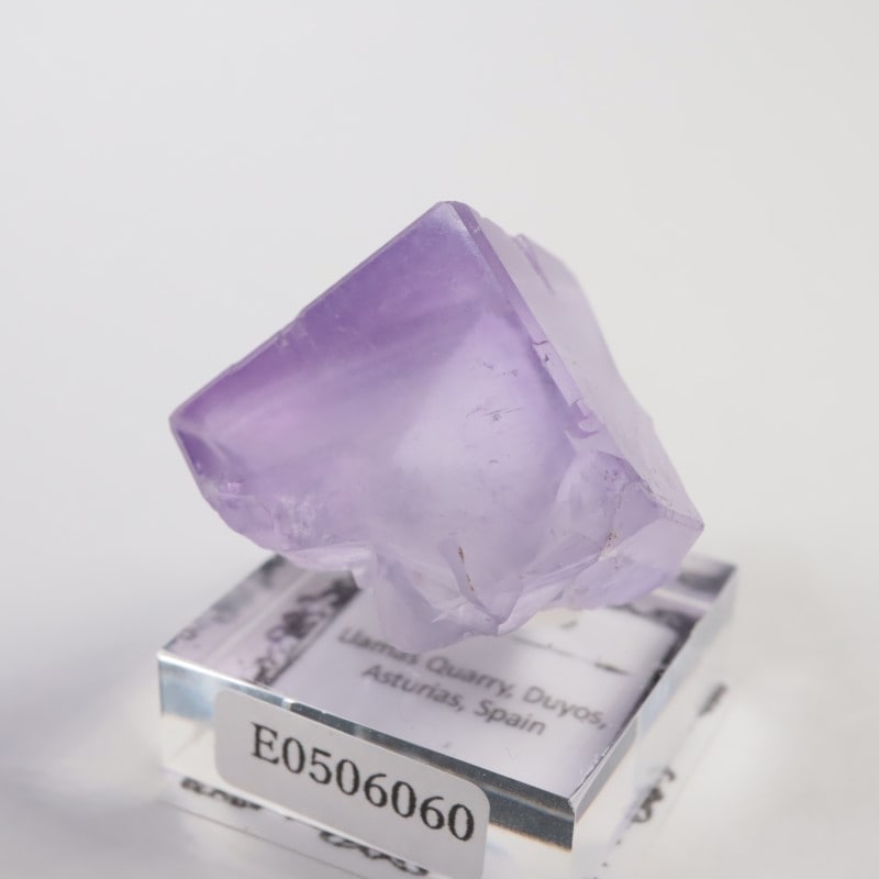 Llamas�����ե����饤��