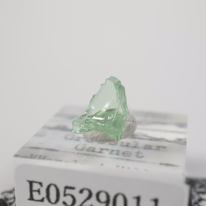 ���󥶥˥�������������顼�����ͥå�