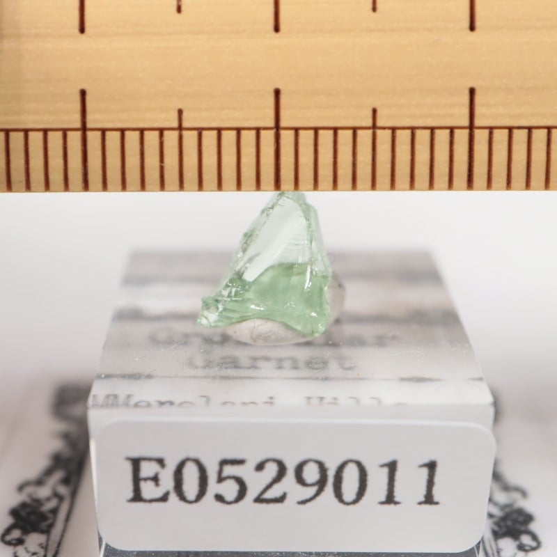 ���󥶥˥�������������顼�����ͥå�