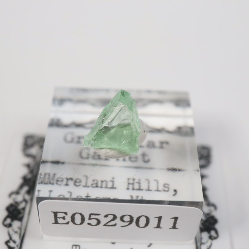 ���󥶥˥�������������顼�����ͥå�