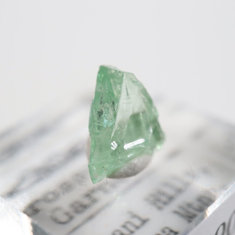 ���󥶥˥�������������顼�����ͥå�