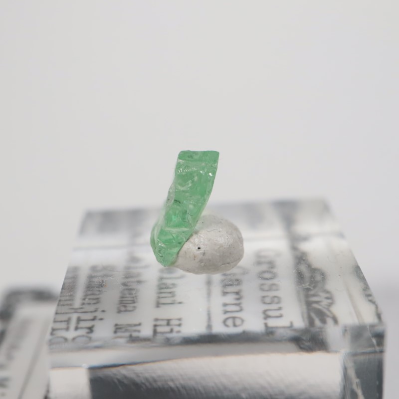 ���󥶥˥�������������顼�����ͥå�