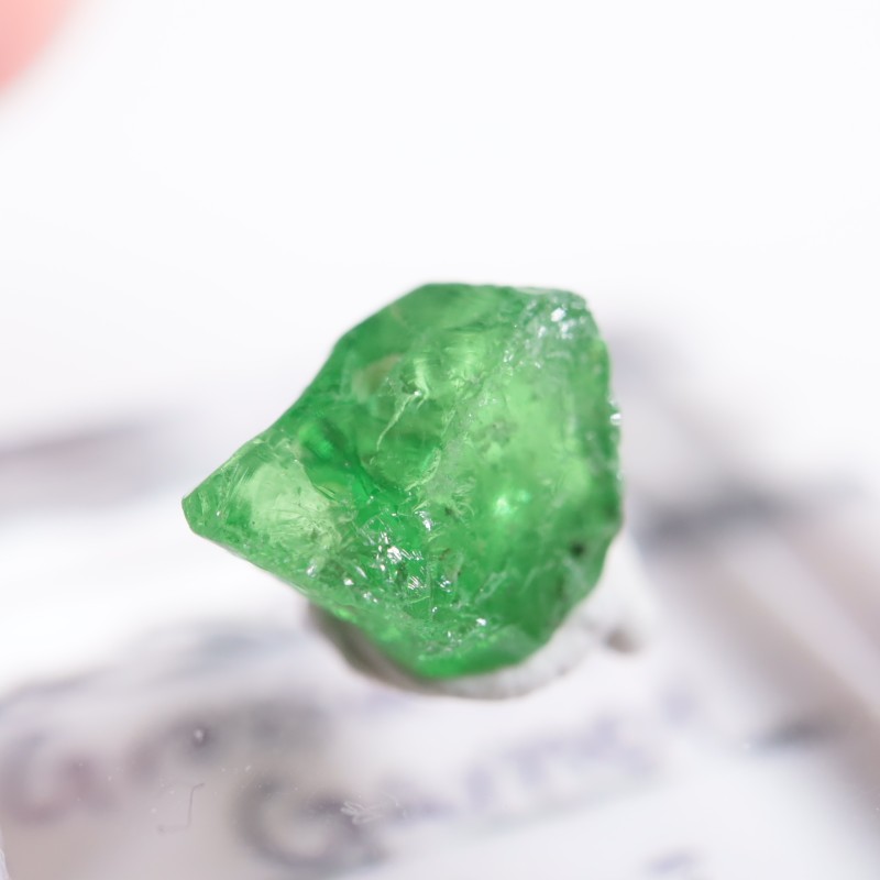 ����˥ҥ륺�� ��������顼�����ͥå�