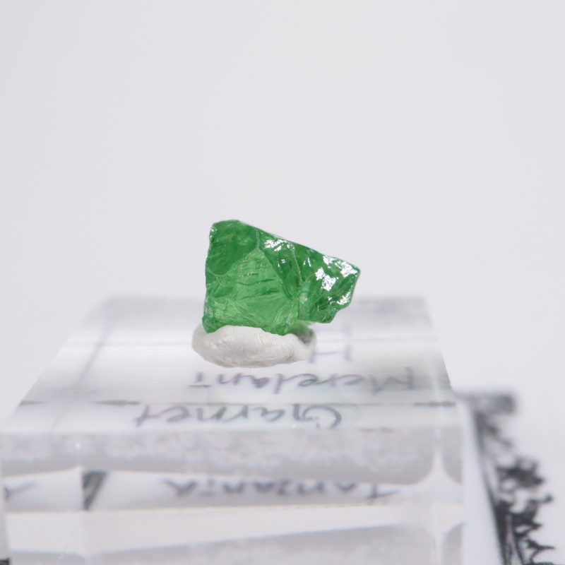 ����˥ҥ륺�� ��������顼�����ͥå�