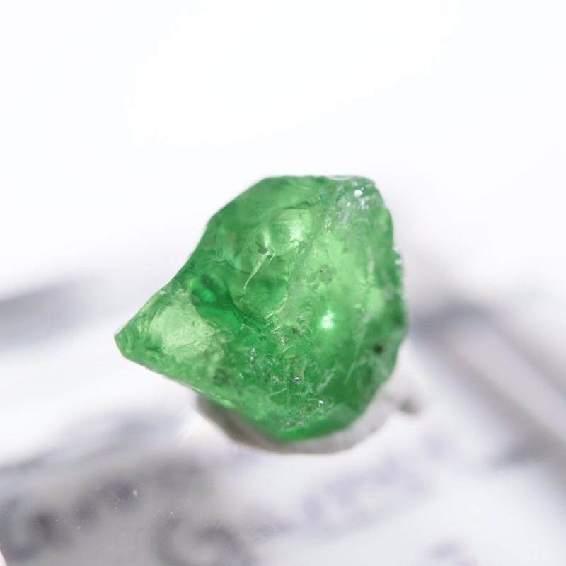 ����˥ҥ륺�� ��������顼�����ͥå�