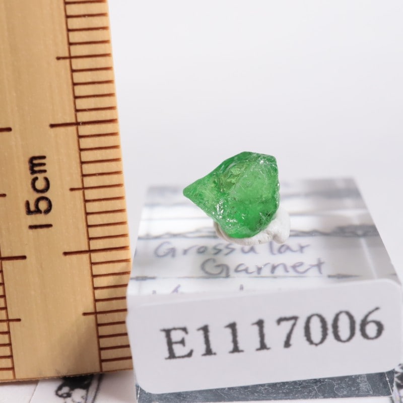 ����˥ҥ륺�� ��������顼�����ͥå�