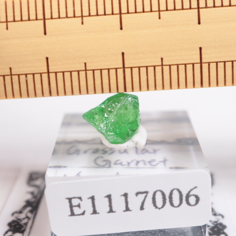 ����˥ҥ륺�� ��������顼�����ͥå�